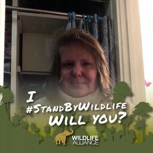 Meet your Posher, Christy